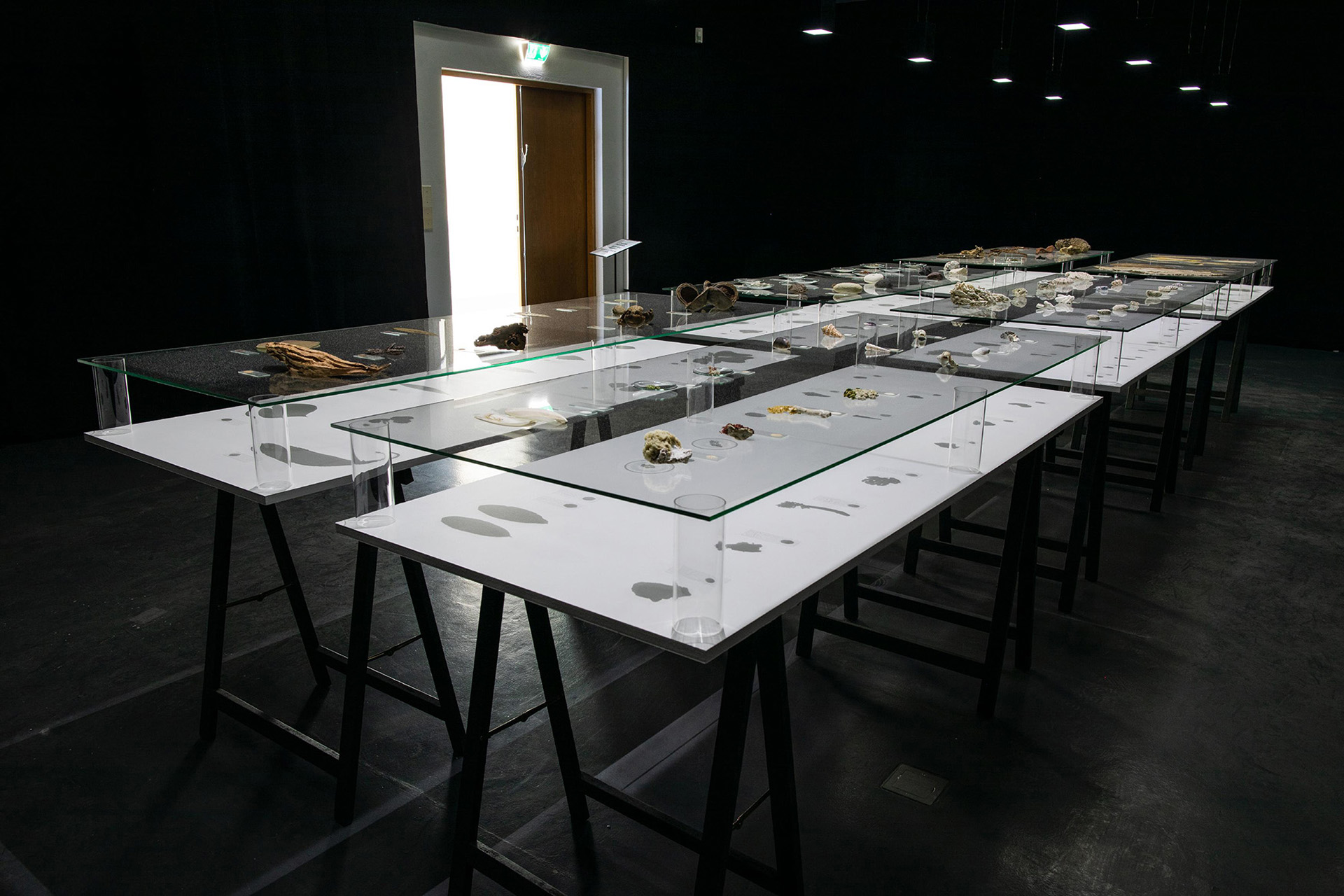 The Things We Are Made Of: Elsa Salonen